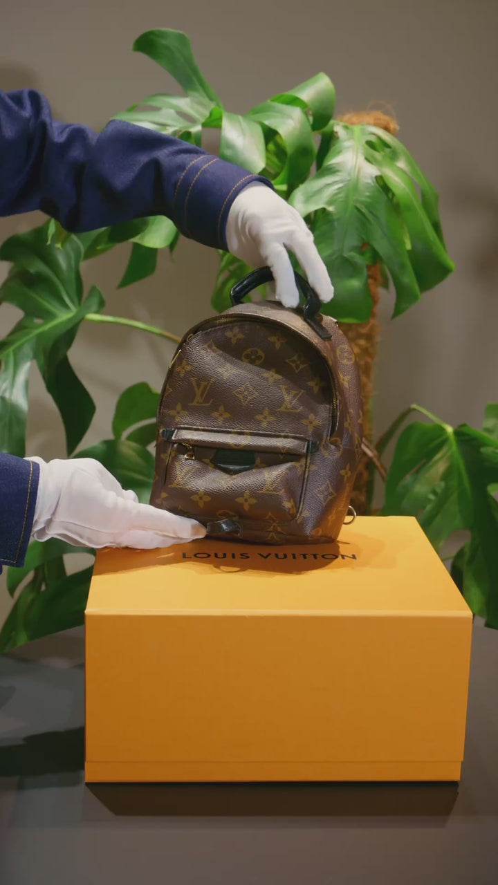 Louis Vuitton Palm springs Mini Back Pack