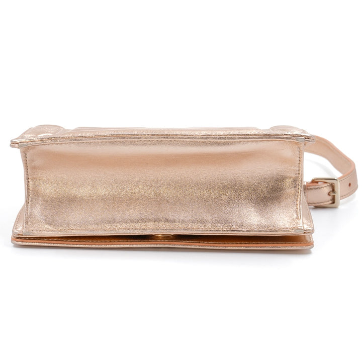 Christian Dior Diorama Rose Gold Chain Bag