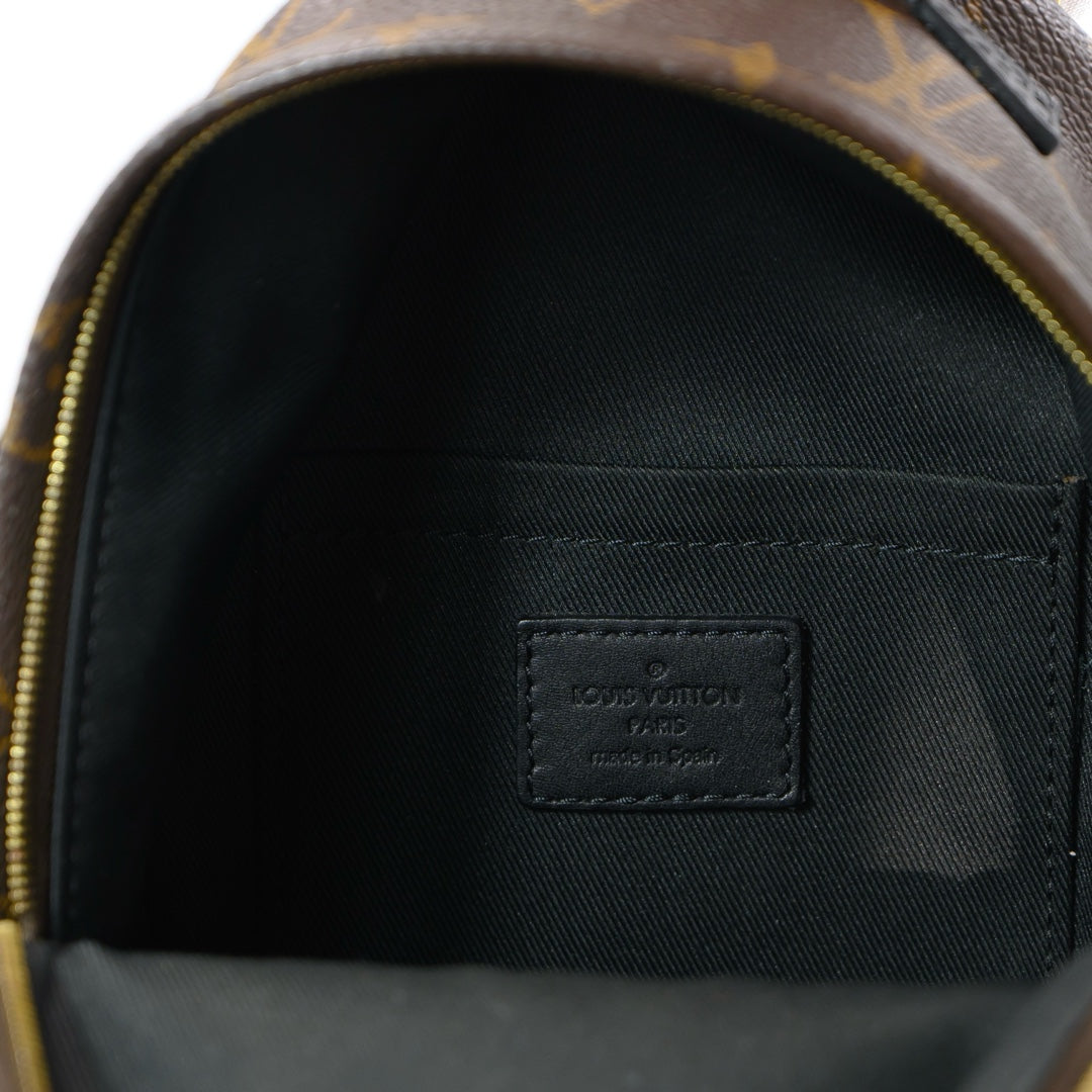 Louis Vuitton Palm springs Mini Back Pack