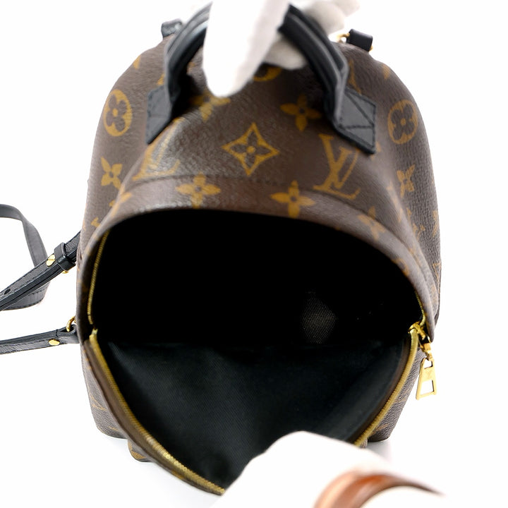 Louis Vuitton Palm springs Mini Back Pack