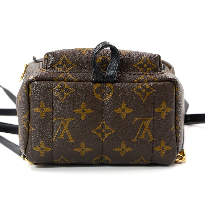 Louis Vuitton Palm springs Mini Back Pack