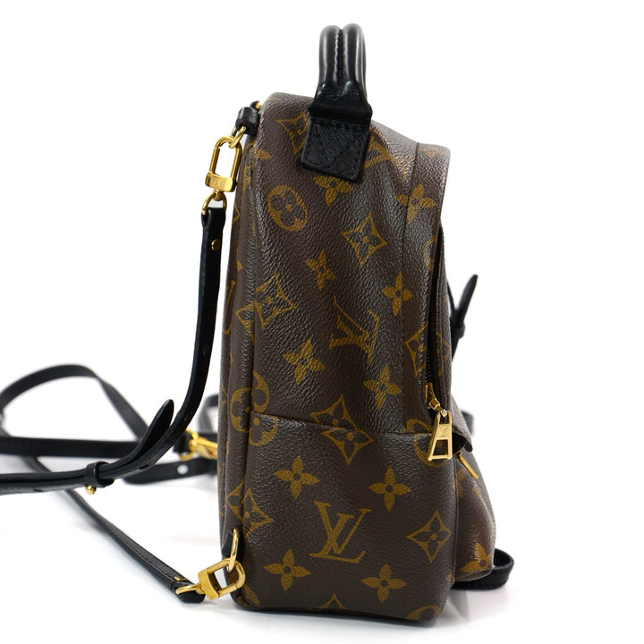 Louis Vuitton Palm springs Mini Back Pack
