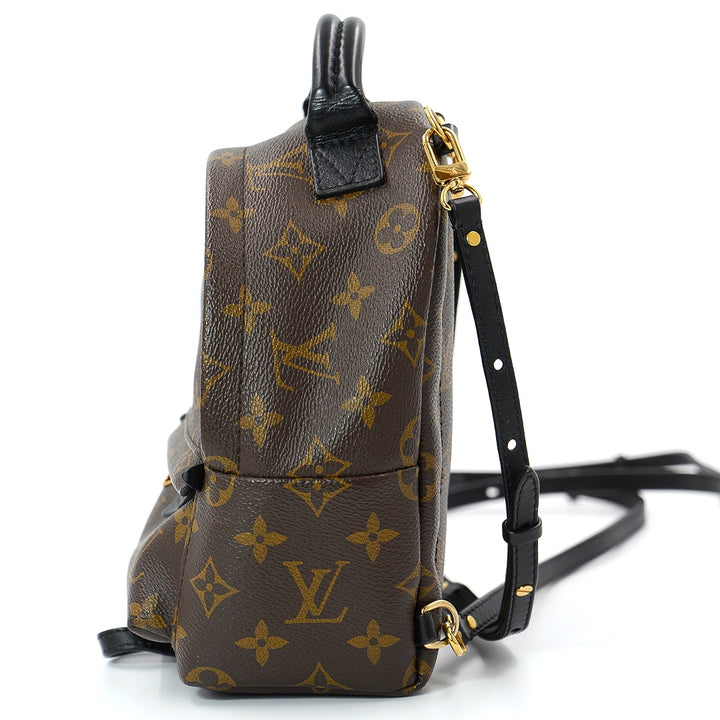 Louis Vuitton Palm springs Mini Back Pack
