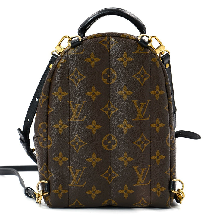 Louis Vuitton Palm springs Mini Back Pack