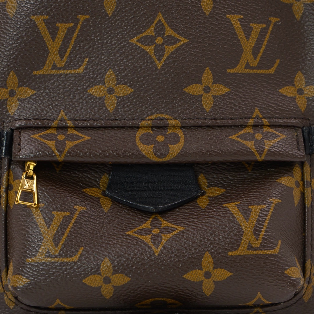 Louis Vuitton Palm springs Mini Back Pack