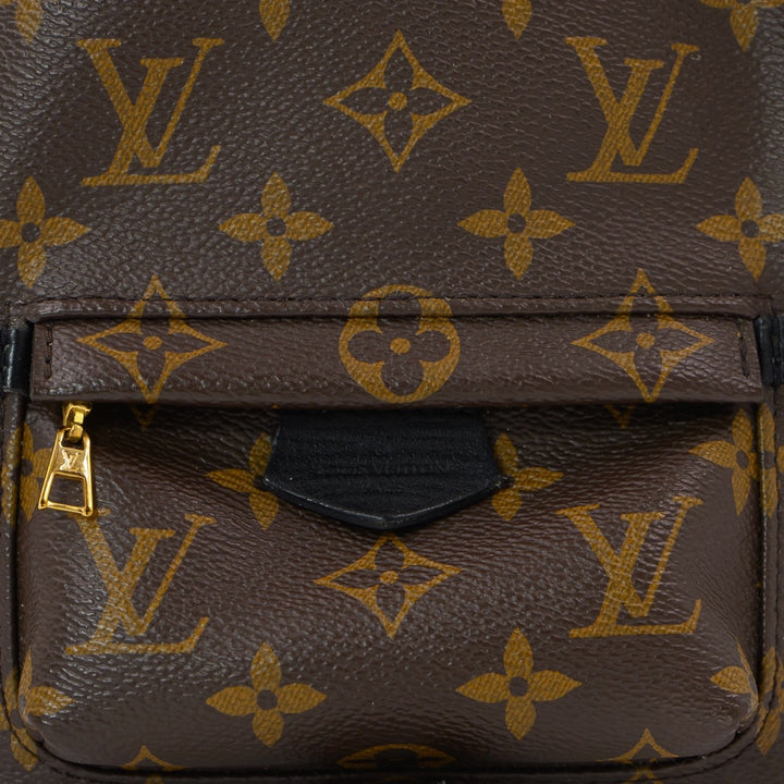 Louis Vuitton Palm springs Mini Back Pack
