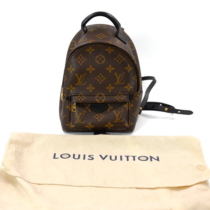 Louis Vuitton Palm springs Mini Back Pack