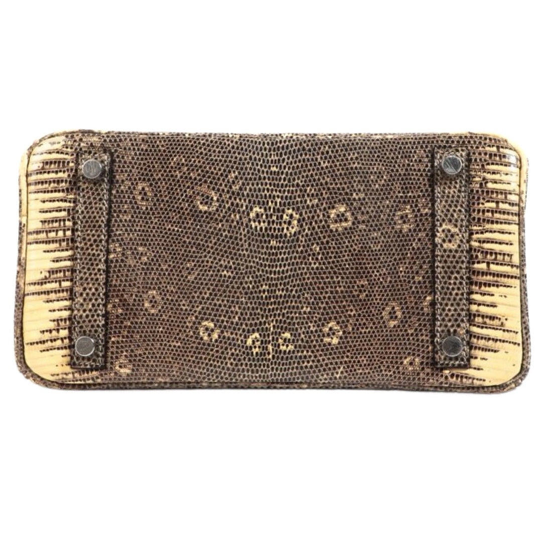 Hermès Birkin 25 in Ombré Lizard Exotic Leather