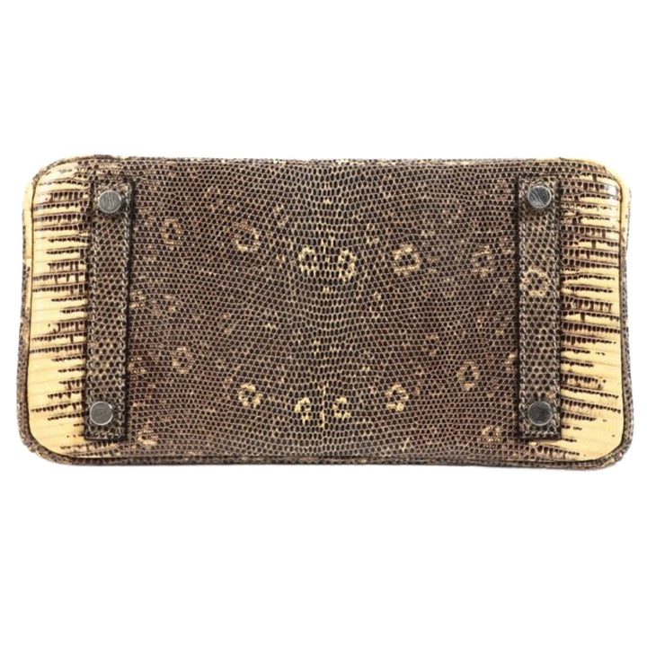 Hermès Birkin 25 in Ombré Lizard Exotic Leather