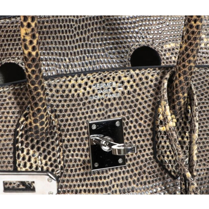 Hermès Birkin 25 in Ombré Lizard Exotic Leather