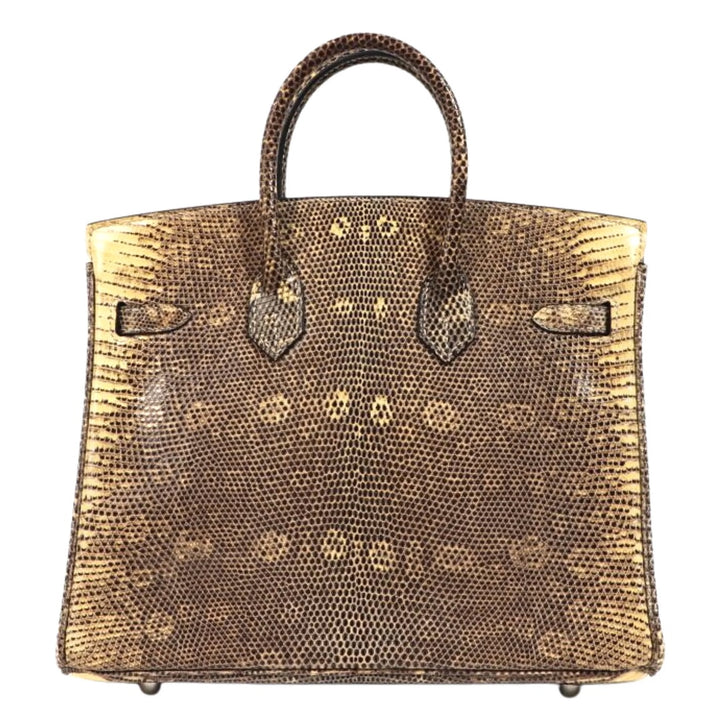 Hermès Birkin 25 in Ombré Lizard Exotic Leather