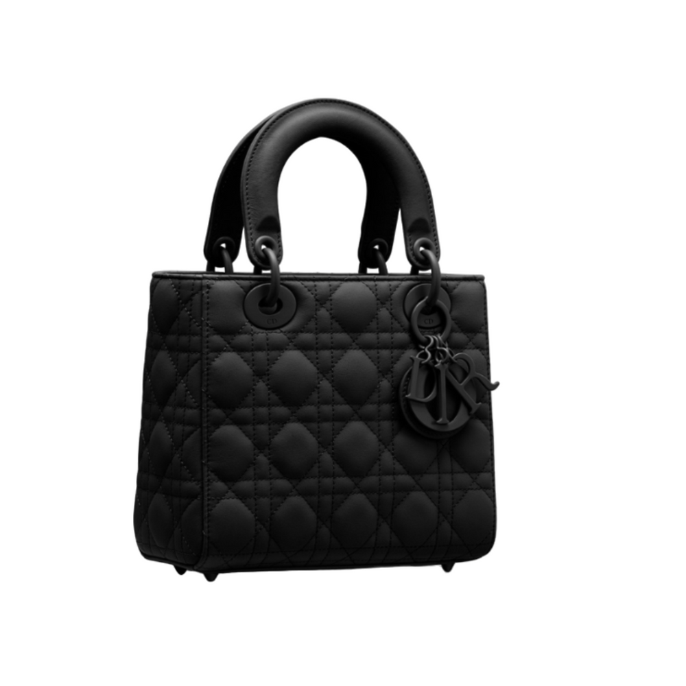 Lady Dior Leather Handbag - Gemaee  UAE
