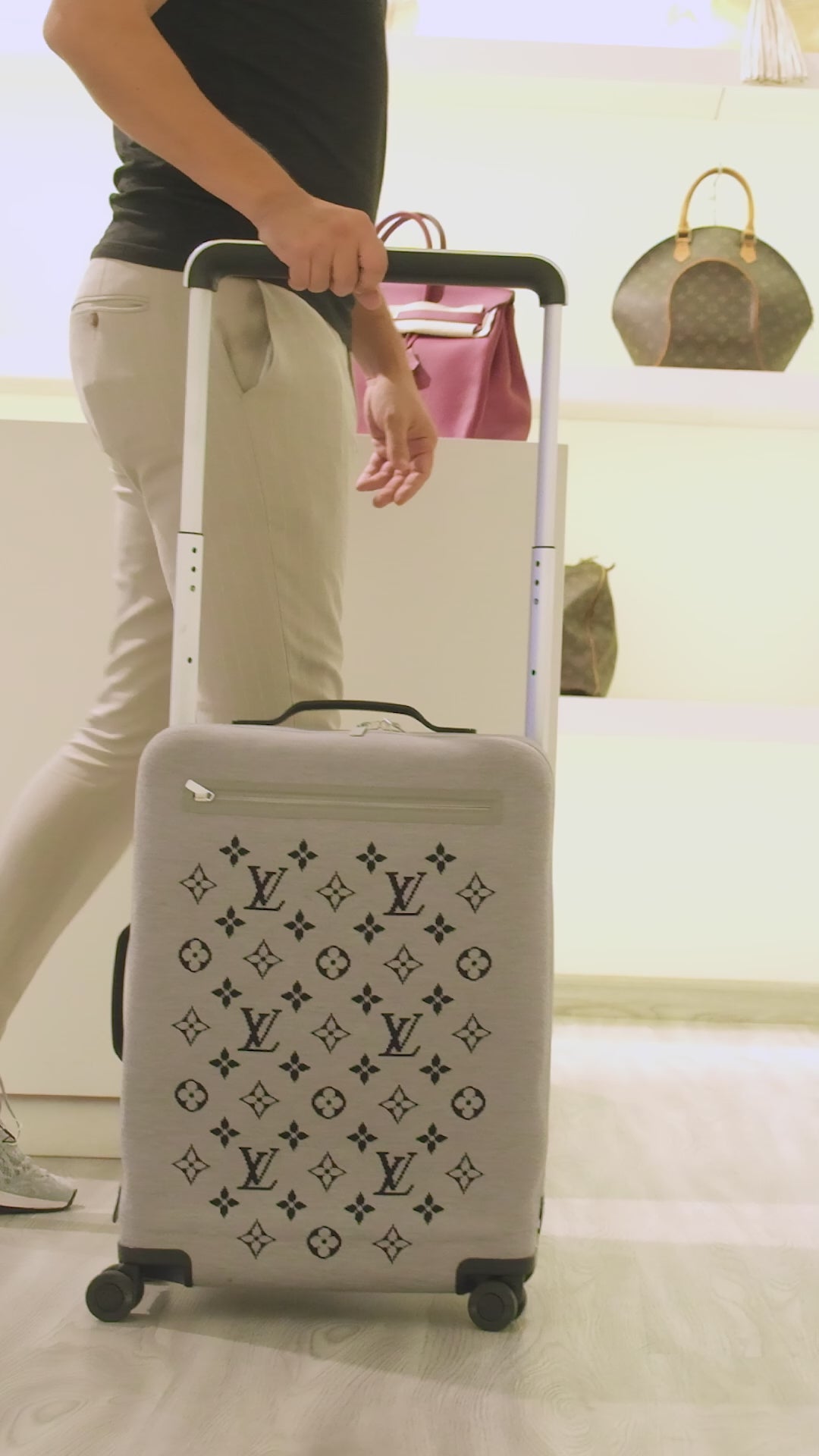 Louis Vuitton Gray Travel Bag ( Trolly)