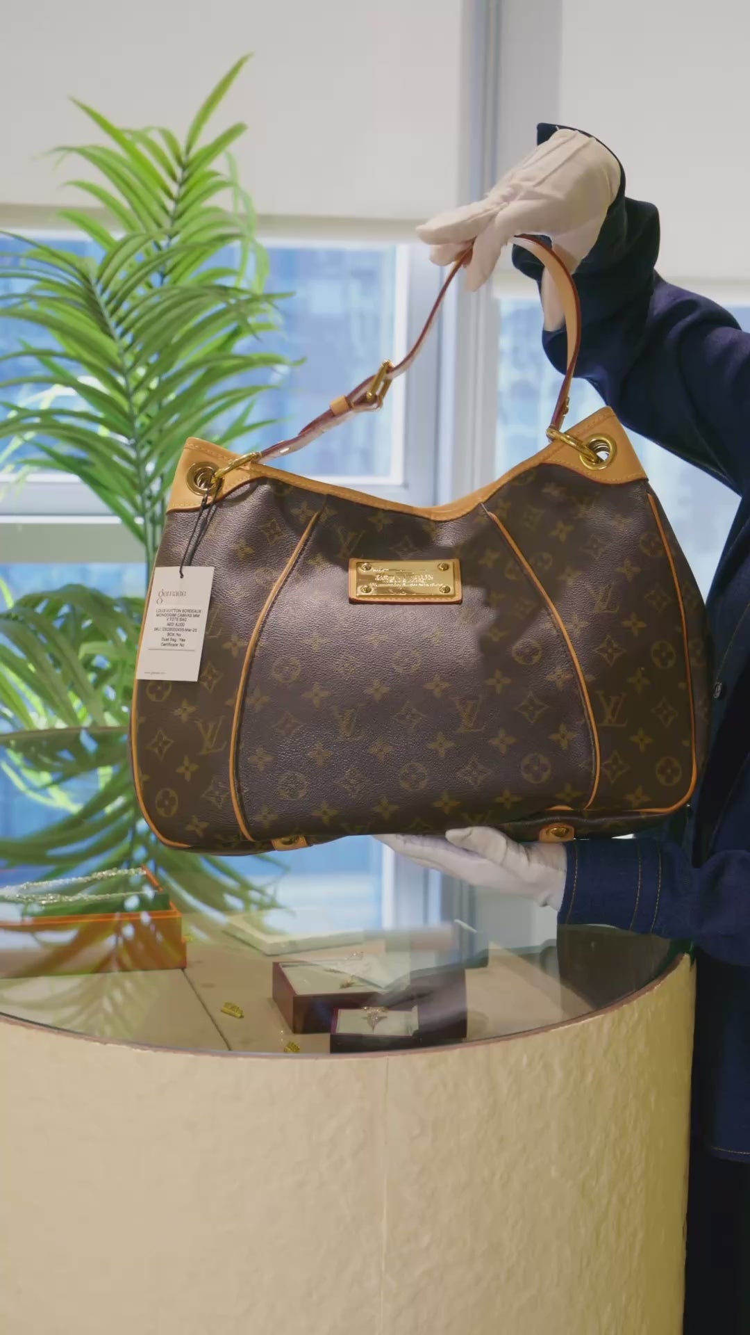 Louis Vuitton Monogram Canvas Galliera PM Handbag