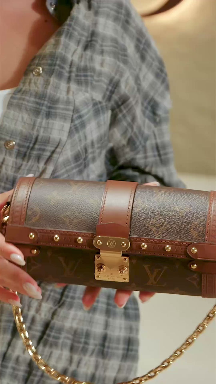 Louis Vuitton Papillon Trunk Monogram Brown Shoulder Bag