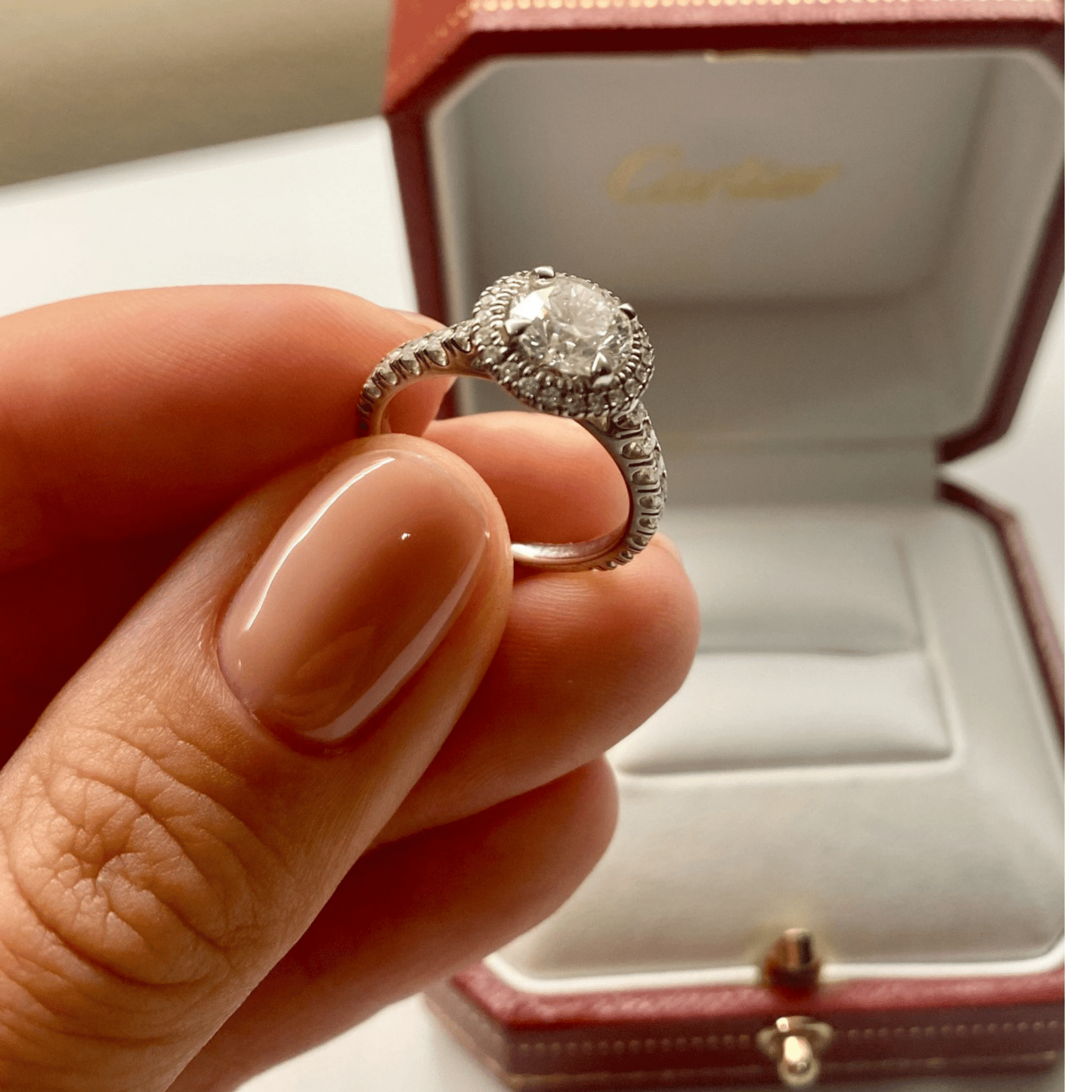 Cartier destinee solitaire cheap platinum diamonds price