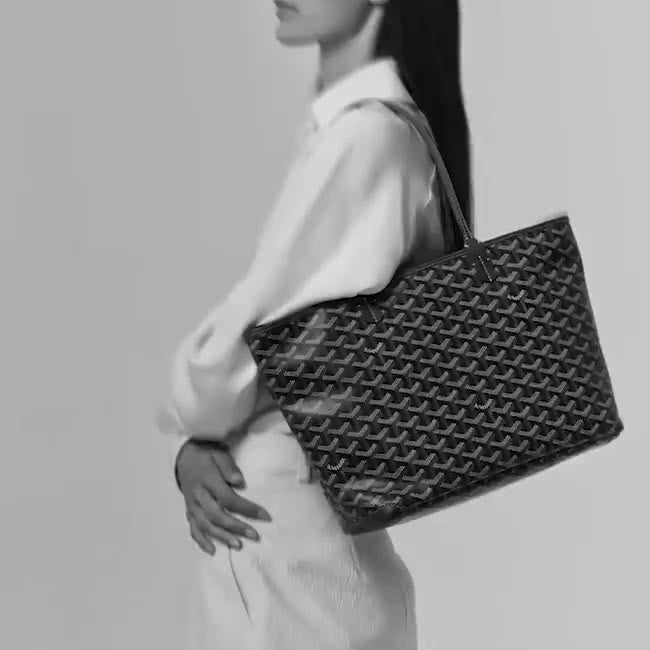 GOYARD ARTOIS PM BAG Gemaee UAE - Main Image